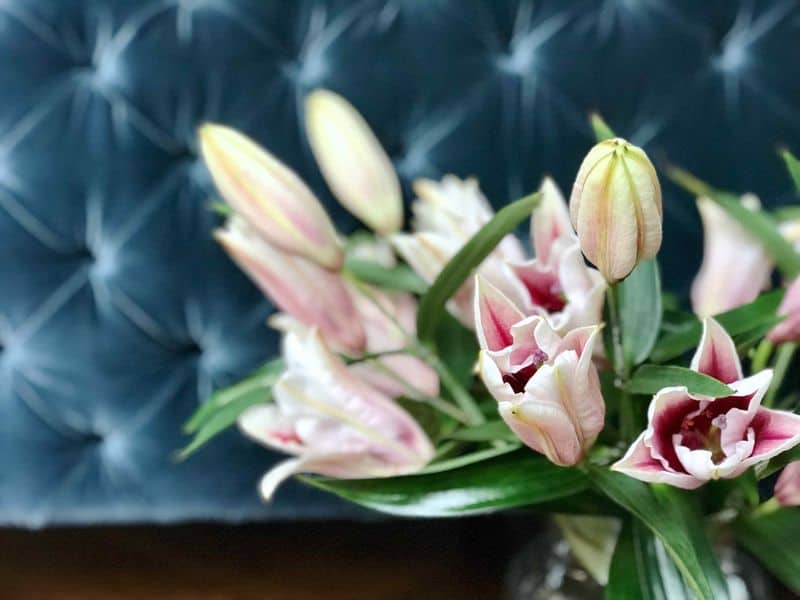 LIILIA ROOSAÕIELINE 3 ROOSAÕIELINE LIILIA