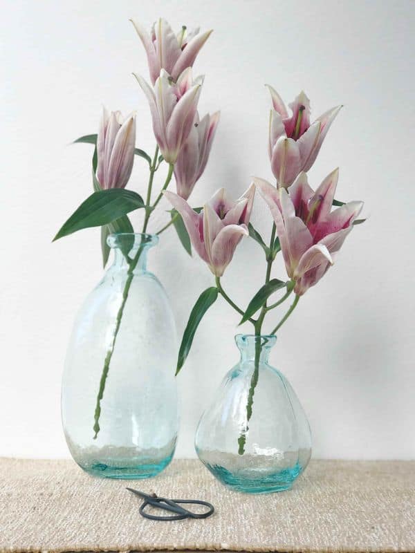 LIILIA VALGEÕIELINE 4 VALGEÕIELINE LIILIA