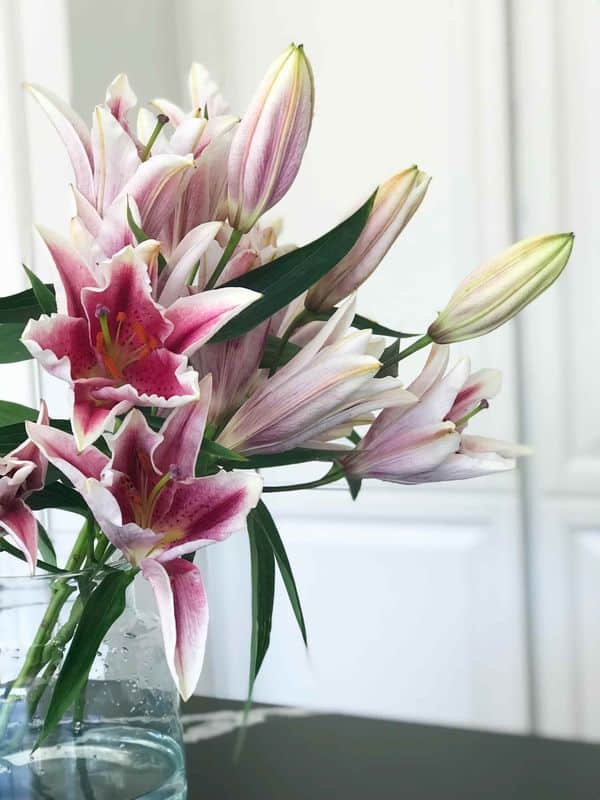 LIILIA ROOSAÕIELINE 1 ROOSAÕIELINE LIILIA