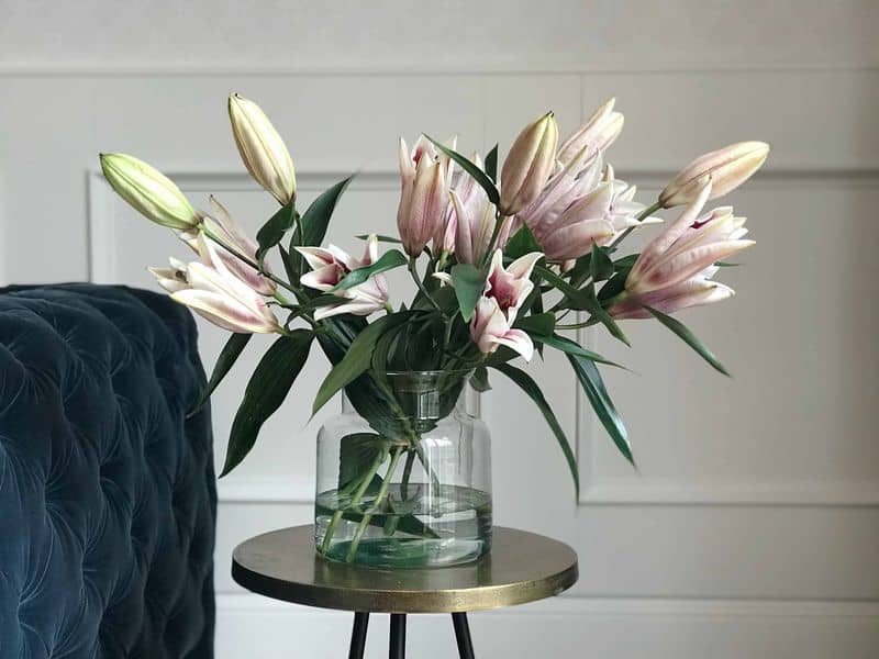 LIILIA ROOSAÕIELINE 4 ROOSAÕIELINE LIILIA