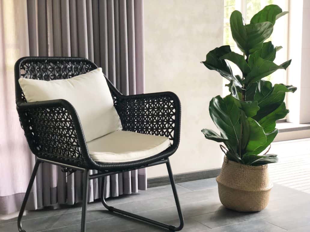 Lüüra viigipuu 3 Lüüra viigipuu