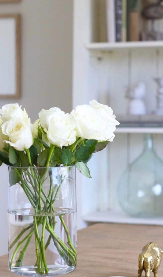 Valged roosid 1 roosid-kulleriga