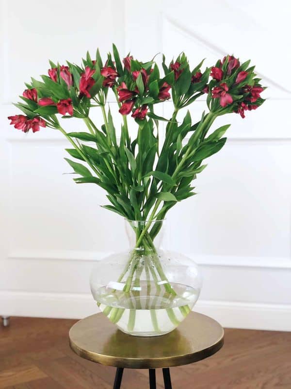 Inkaliilia 3 TUMEPUNANE INKALIILIA