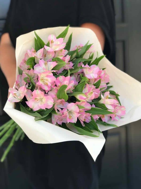 Inkaliilia 2 Inkaliilia