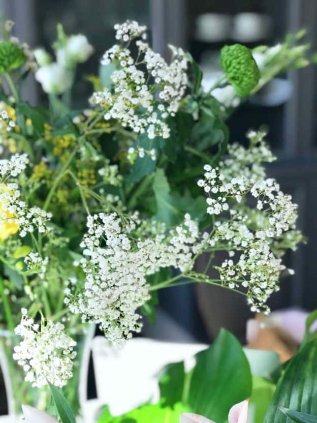 KIPSLILL 5 kipslill kimbus