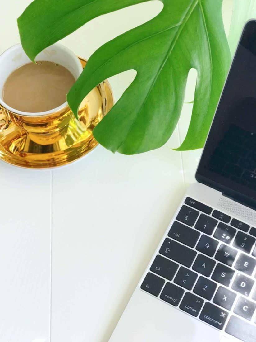 Monstera leht 2 Monstera