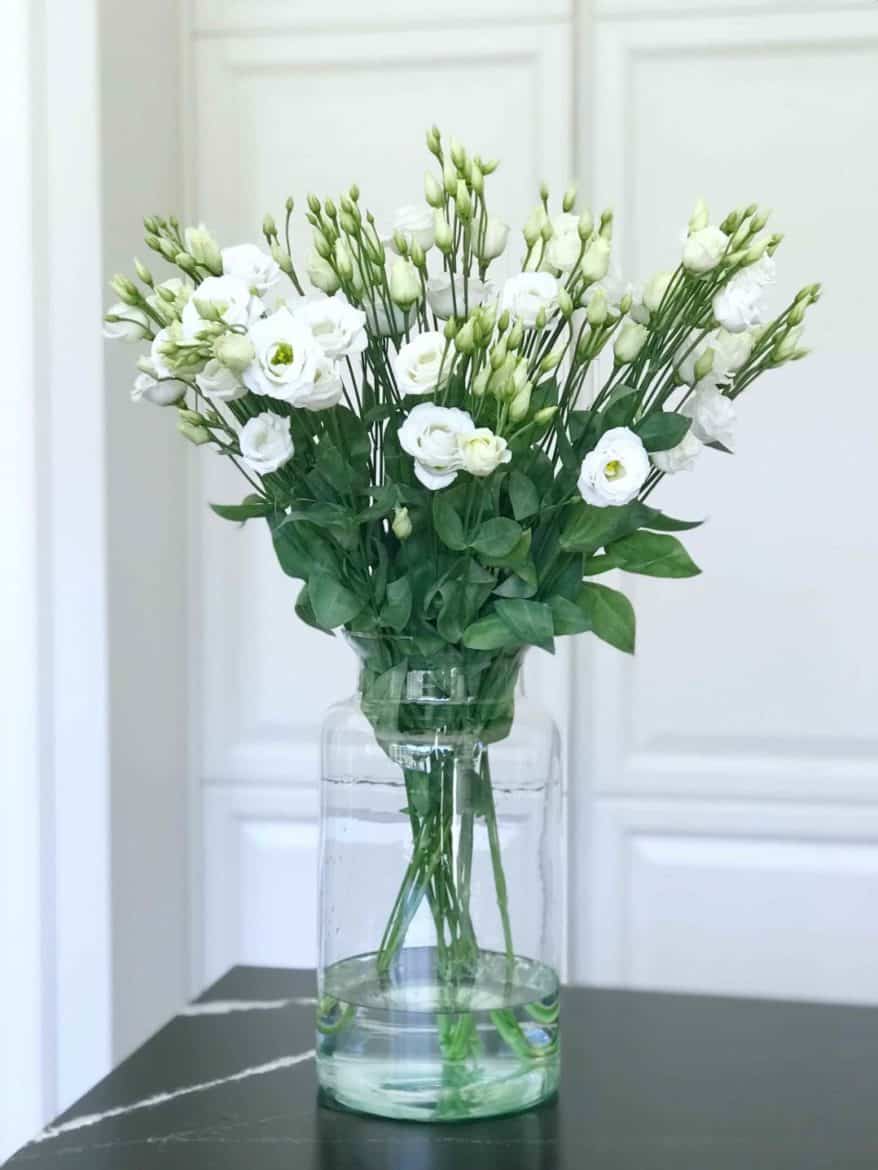 PREERIAKELL 1 preeriakelluke