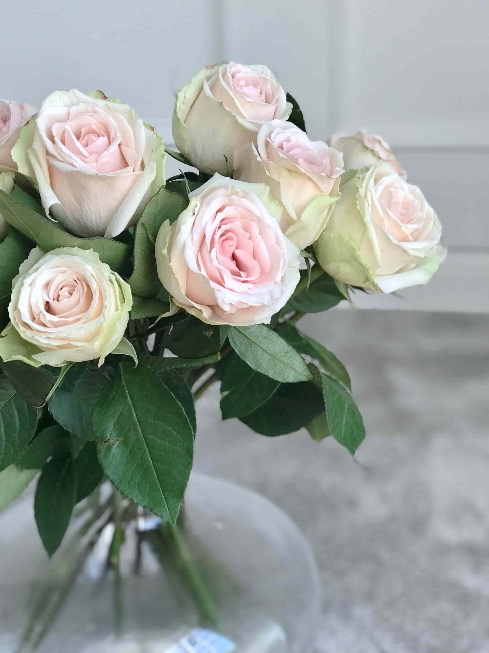 Roosad roosid 1 roosad-roosid