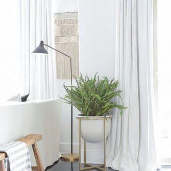 Millised toataimed sobivad koju? 3 sonajalg