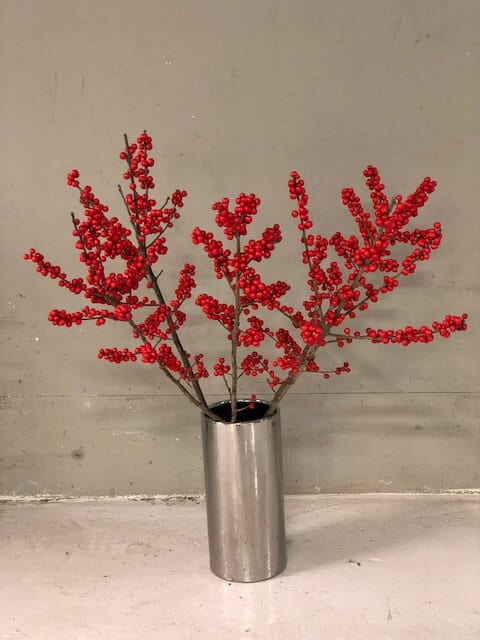 Ilex ehk Winterberry 2 winterberry