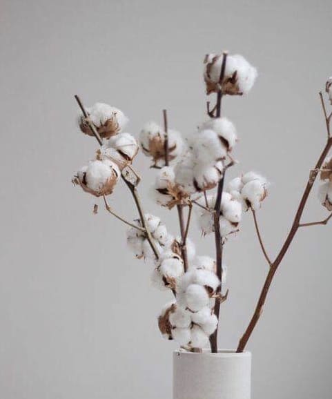 Cotton flower ehk puuvillalille tupsud 1 cotton flower