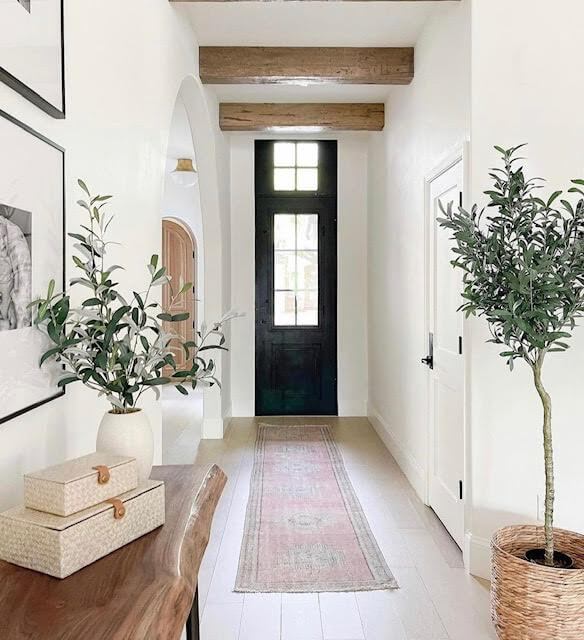 Oliivipuu tüvel 2 Oliivipuu