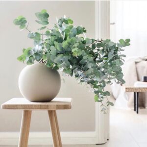 stabiliseeritrud Eukalüpt