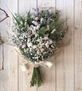 Metshaldja pruudkikimp