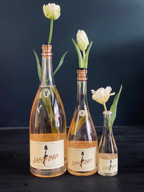 Rabarbara rabarberi vahuvein 1 Rabarbara