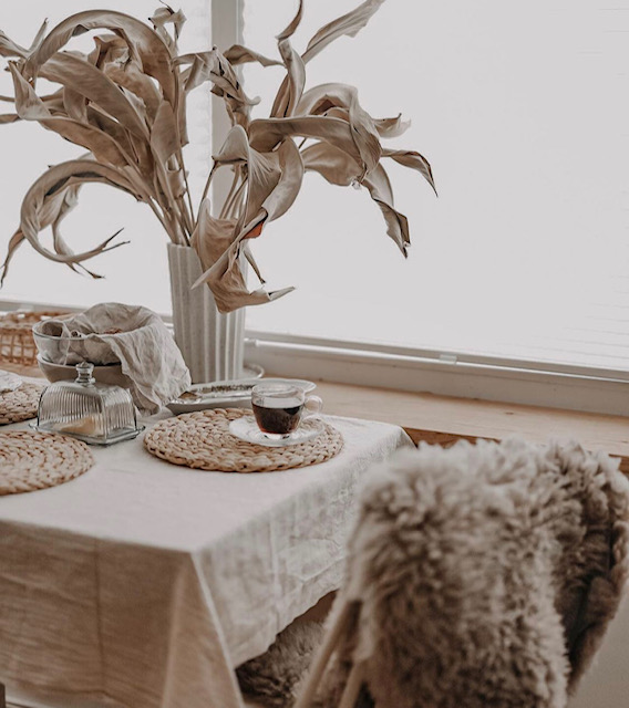 Kuivatatud streliitsialehed 4 Kuivatatud streliitsialehed