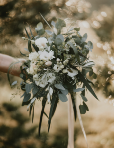 Eukalüptine pruudikimp