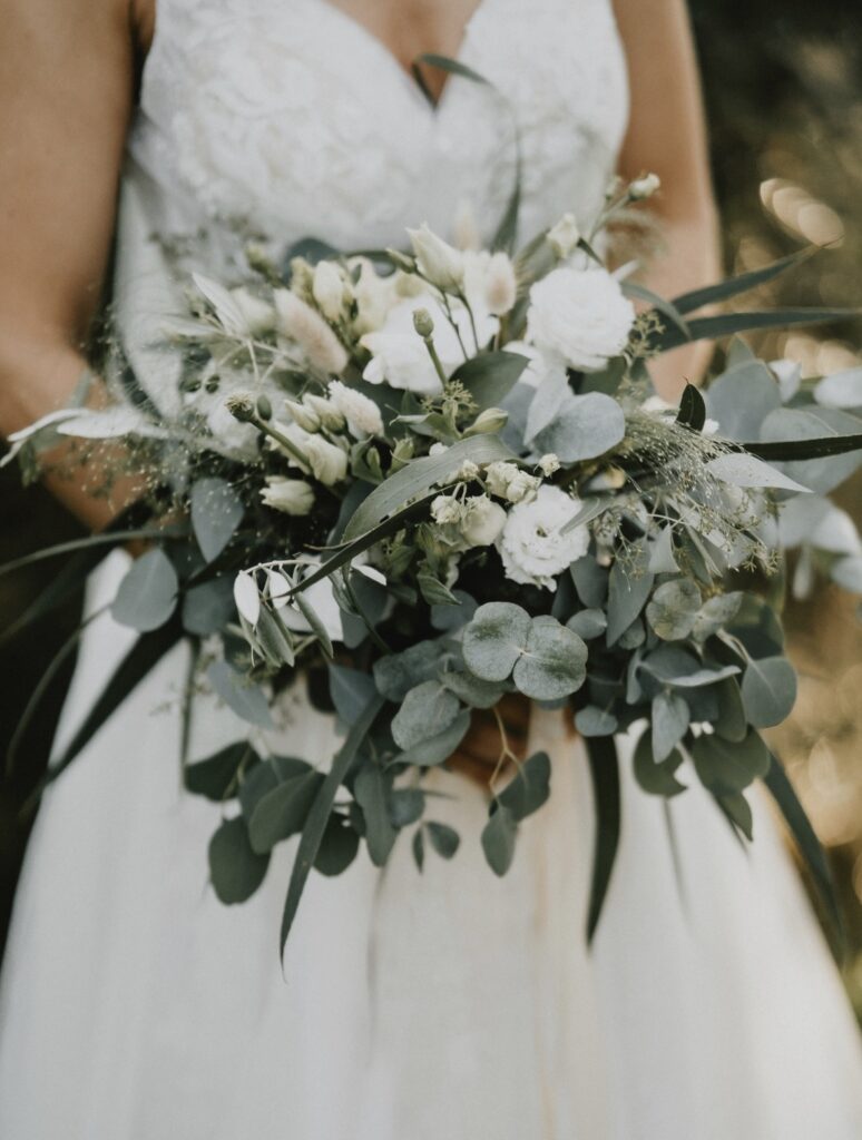 Eukalüptine pruudikimp