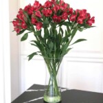 Milliseid lilli kinkida mehele? 5 TUMEPUNANE INKALIILIA